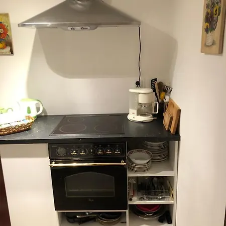 Apartman U Valiky Rokytnice nad Jizerou